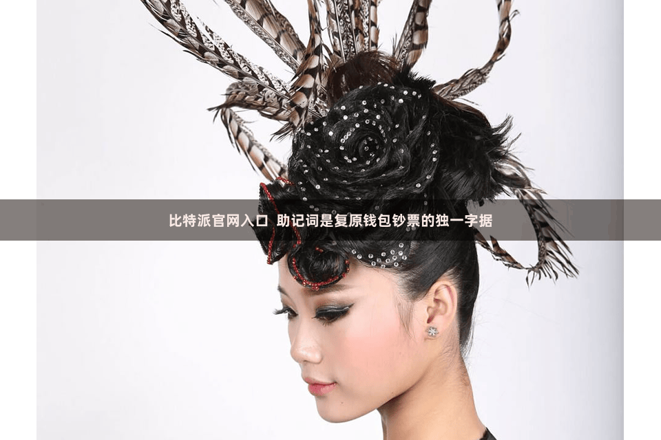 比特派官网入口 助记词是复原钱包钞票的独一字据