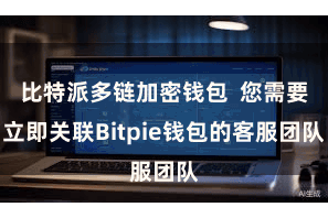 比特派多链加密钱包  您需要立即关联Bitpie钱包的客服团队